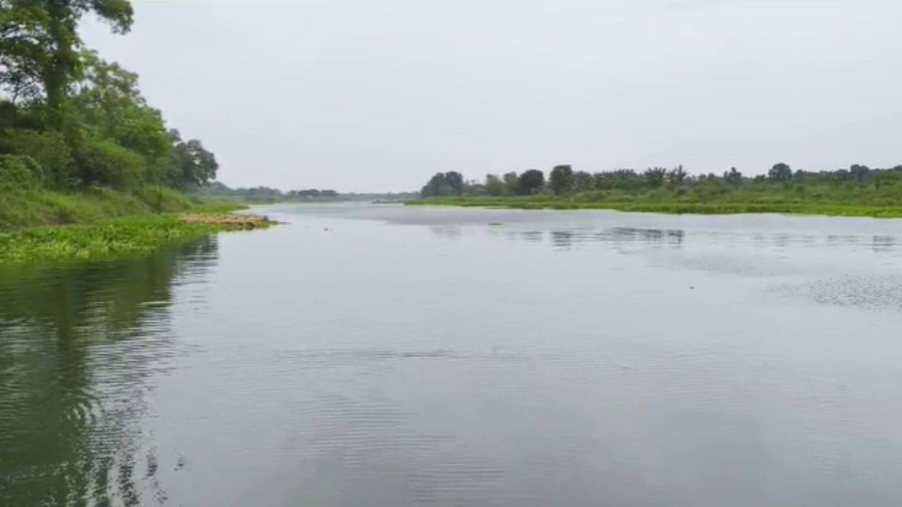 Nadia: মায়াপুরের গঙ্গার ঘাটে স্নানে নেমে হঠাৎ কুমির...