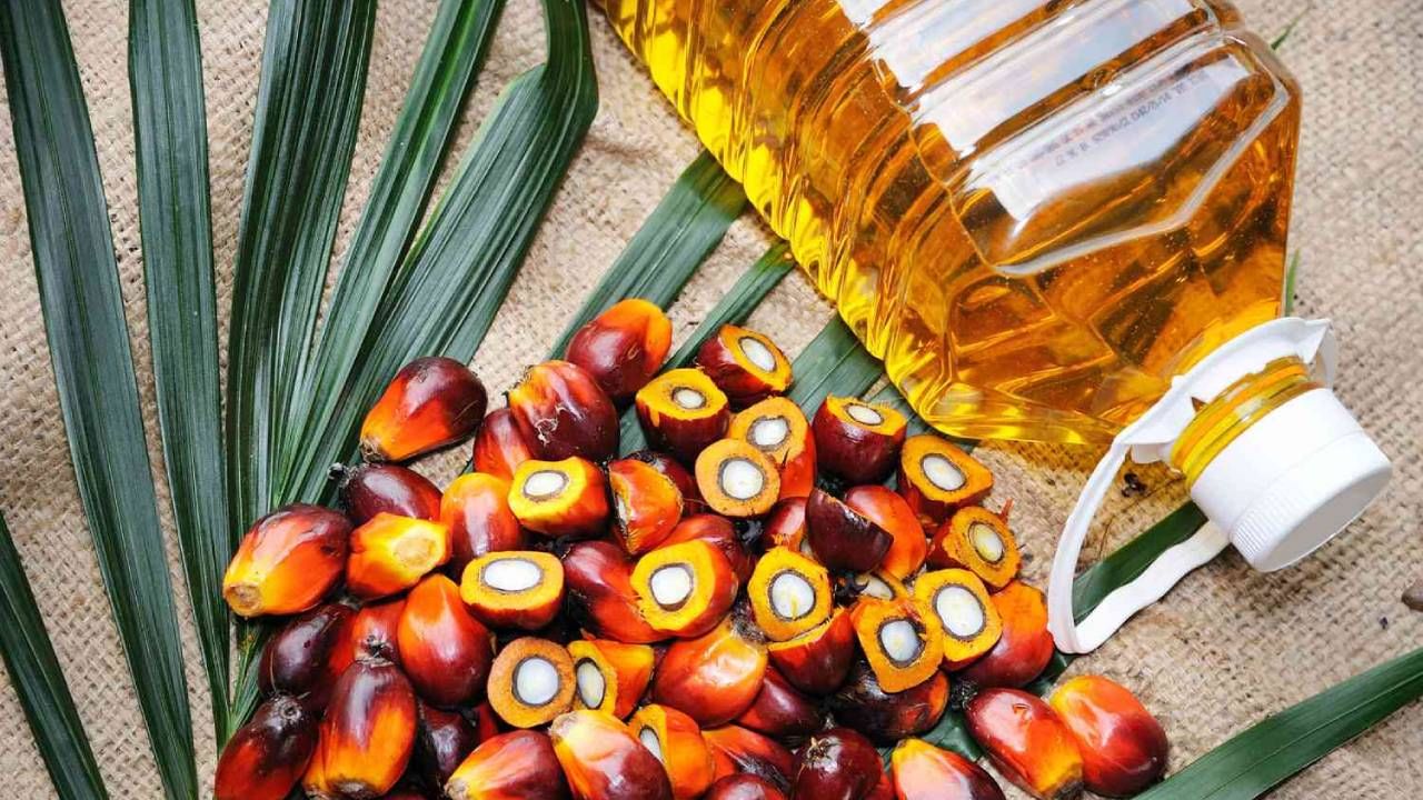 Palm Oil: শরীরের প্রচুর ক্ষতি করে, তবুও পাম তেল কেন ব্যবহৃত হয় ভাজাভুজির দোকানে?