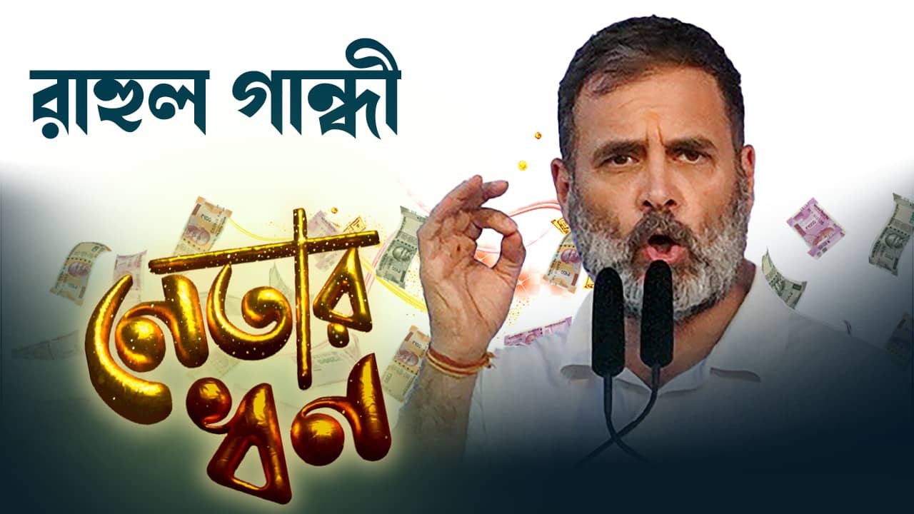 Rahul Gandhi assets: কংগ্রেসের ভোটের খরচ কি একাই দিতে পারেন রাহুল গান্ধী? কত টাকা আছে তাঁর?