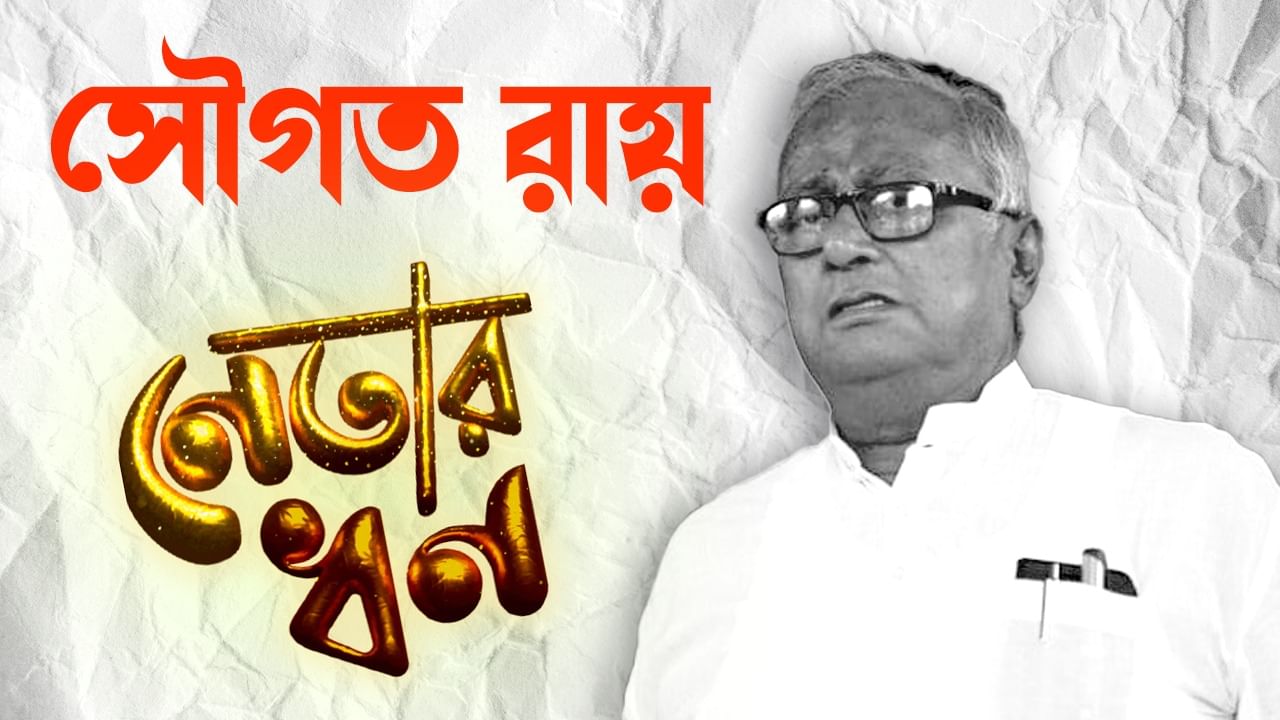 Sougata Roy: গ্যারাজে তিনখানা গাড়ি, কয়েক কোটি টাকার মালিক প্রাক্তন প্রফেসর সৌগত রায়