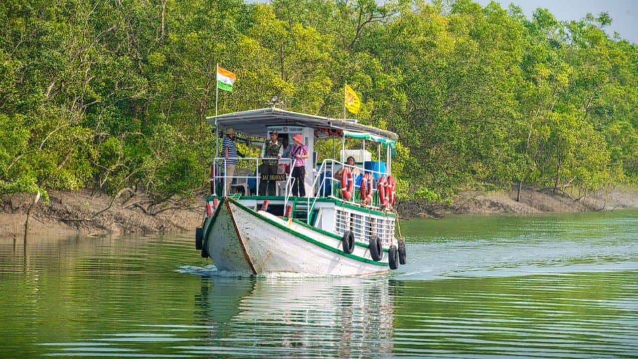 Canning: বোট তখন মাঝ নদীতে, আচমকাই ধেয়ে আসল পরপর গুলি, মাথায় পড়ল ধারাল অস্ত্রের কোপ! ভরা মরশুমে সুন্দরবনে ভয় ধরানোর ঘটনা