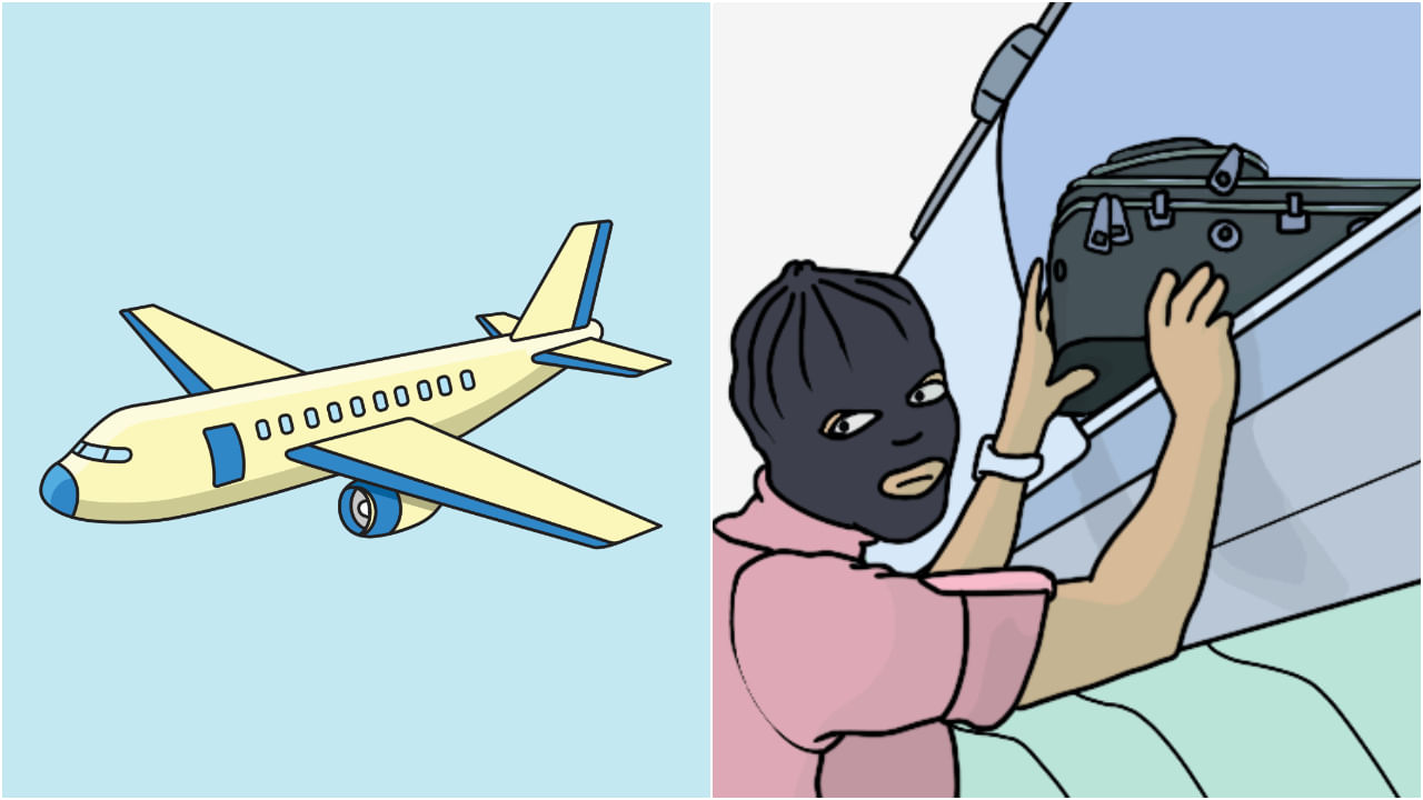 Theft on airplane: বিমানে পকেটমারি! ১১০ দিনে ২০০টি উড়ান, গ্রেফতার অভিনব চোর