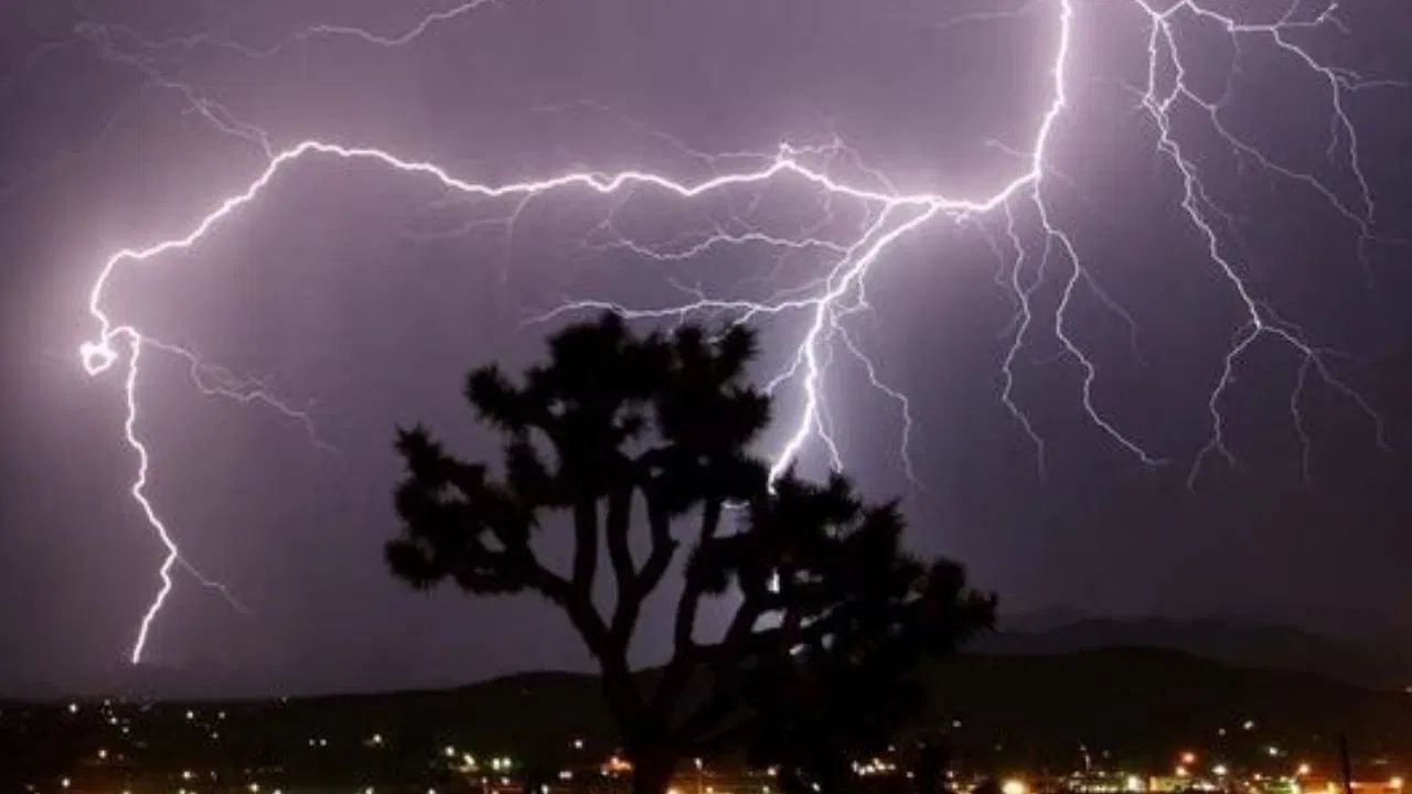 Thunderstrike: মুহুর্মুহু গুড়ুম গুড়ুম শব্দ, ডুয়ার্সে বজ্রপাতে আহত অন্তত ১২