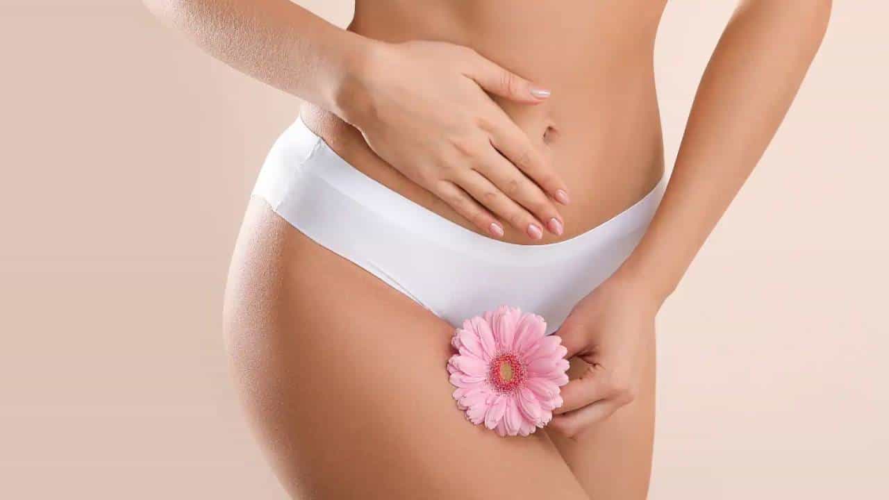 Vagina Health: রোজ এ ভাবে পরিষ্কার করুন যোনি, নাহলে হবে রোগের বাসা Vagina Health: রোজ এ ভাবে পরিষ্কার করুন যোনি, নাহলে হবে রোগের বাসা