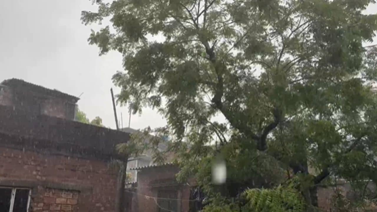 Weather: এবারের বজ্রপাত ছাপিয়ে যাচ্ছে পরিসংখ্যান, এ বছর বৃষ্টিতে মুহুর্মুহু বাজ পড়ার পিছনে রয়েছে আলাদাই কারণ