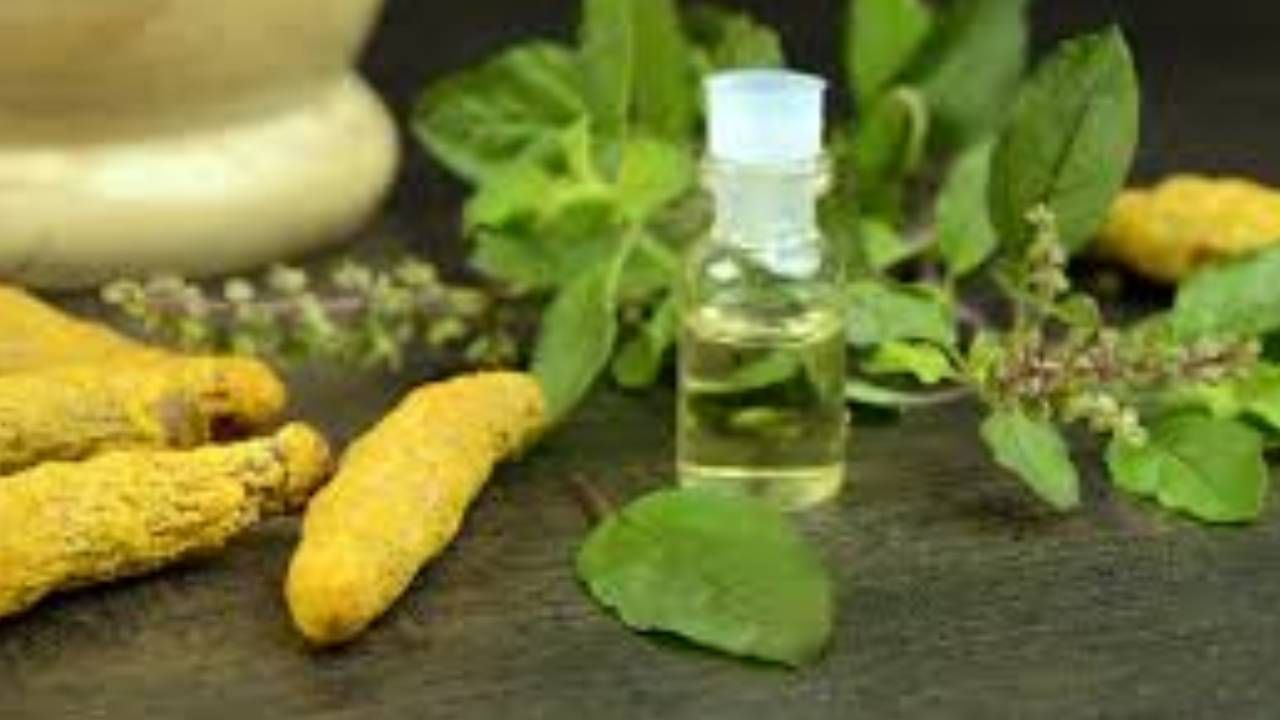 ব্রণ সারাতে দারুণ কাজ দেয় হলুদ ও তুলসি। কাঁচা হলুদ দু'চামচ পরিমাণ বেটে নিন। একইভাবে কুড়ি-পঁচিশটা তুলসি পাতা ভালো করে ধুয়ে বাটুন। তুলসি পাতা বাটা আর কাঁচা হলুদ বাটা একসঙ্গে মিশিয়ে ব্রণর উপরে লাগিয়ে রাখুন, শুকিয়ে গেলে ধুয়ে ফেলবেন।