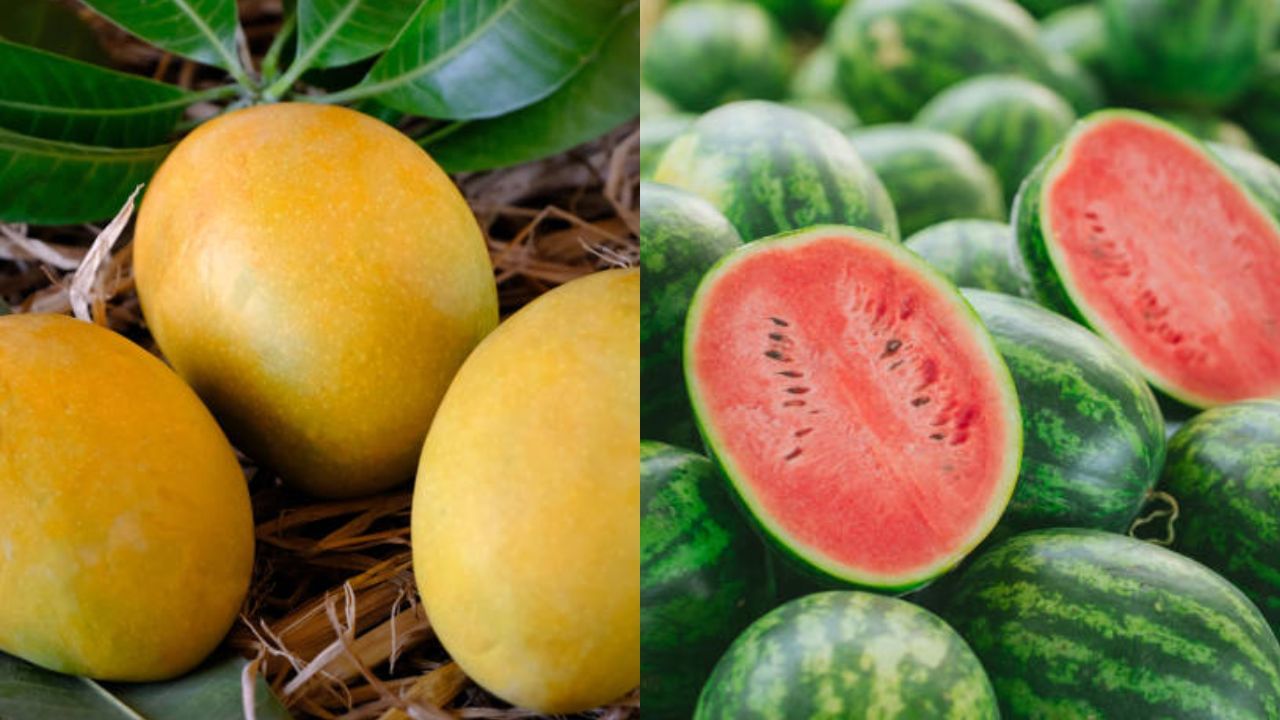 Watermelon-Mangoes: বাজার ছেয়েছে পাকা আম-তরমুজে, ফলে যে ভেজাল নেই বুঝবেন কীভাবে?