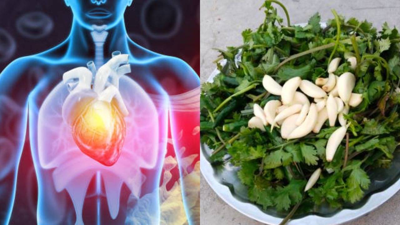 Ayurveda for Cholesterol: এই ৫ আয়ুর্বেদিক ভেষজ রোজ খেলে গরমে গলে যাবে কোলেস্টেরল, কমবে হার্টের সমস্যা