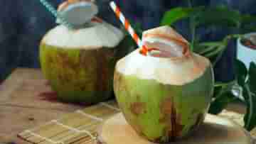 Coconut Water: তাজা ডাবের জল ছেড়ে বোতলবন্দি ডাবের জল খাচ্ছেন? মারাত্মক ভুল করছেন