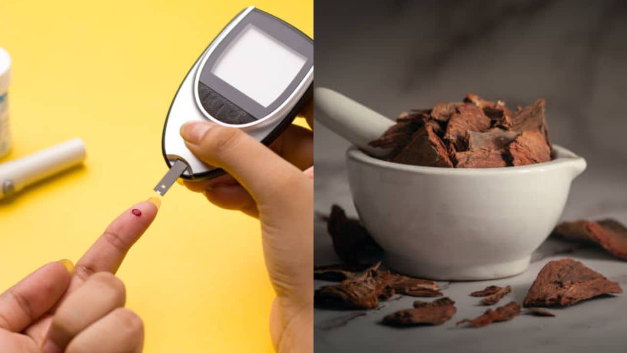 Blood Sugar Level: সুগার লেভেলের ওঠানামা নিয়ে চিন্তিত? এই ৫ ভেষজে ভরসা রাখতে পারেন
