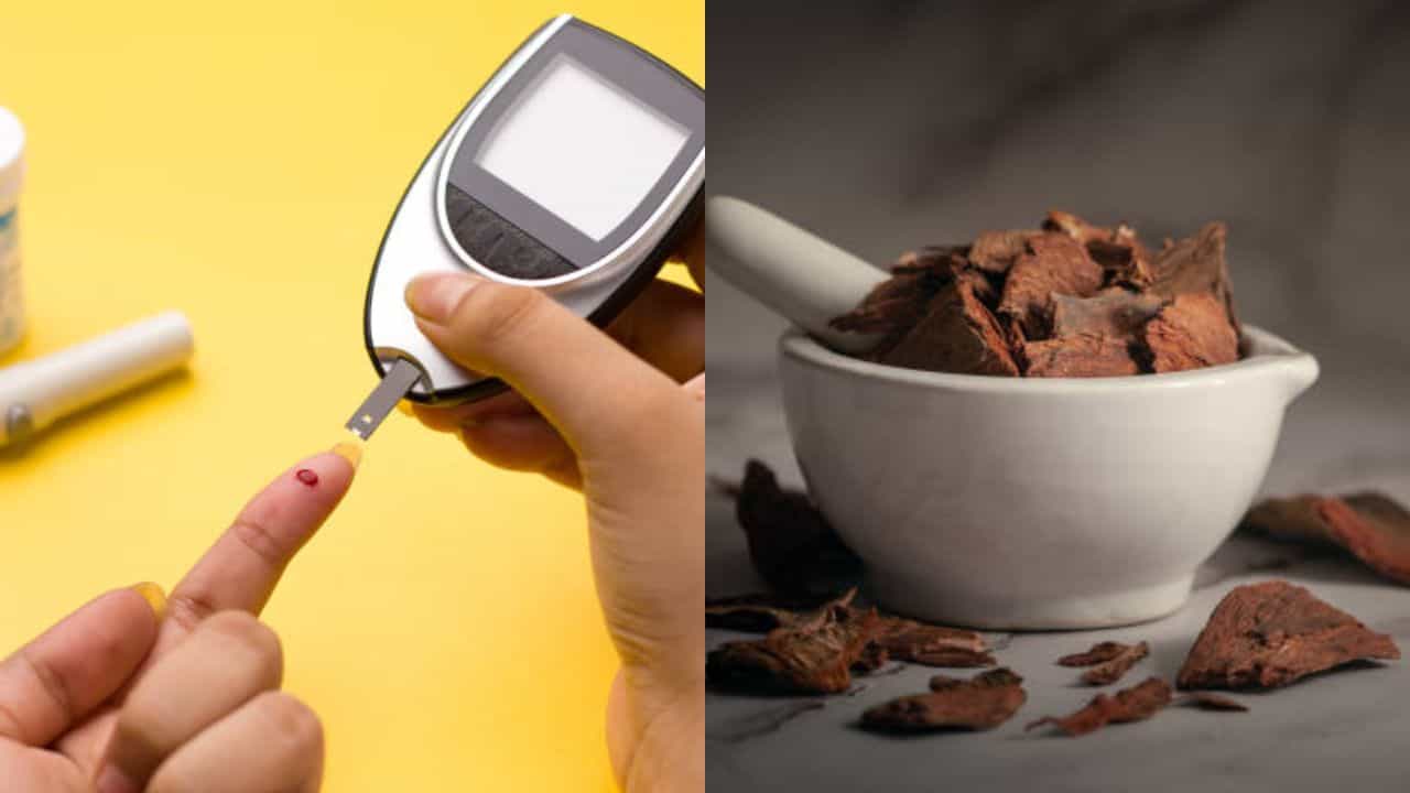 Blood Sugar Level: সুগার লেভেলের ওঠানামা নিয়ে চিন্তিত? এই ৫ ভেষজে ভরসা রাখতে পারেন Blood Sugar Level: সুগার লেভেলের ওঠানামা নিয়ে চিন্তিত? এই ৫ ভেষজে ভরসা রাখতে পারেন