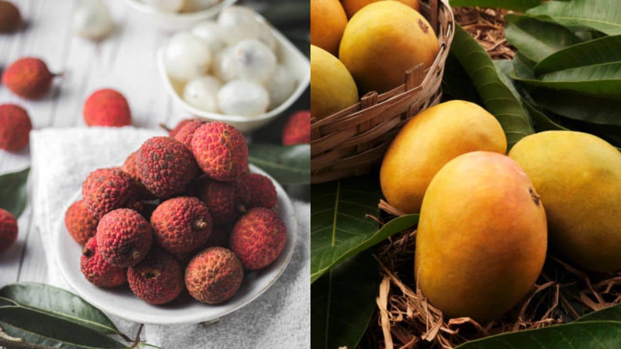 Diabetes Diet: পাকা আম থেকে রসালো লিচু—গরমের এই ৫ ফল সুগারের রোগীরা খেলেই বিপদ