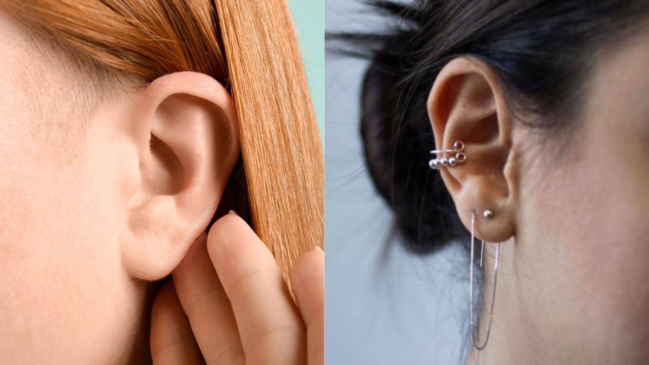 Personality Test: কানের আকার দেখেই মানুষ চিনুন সহজে! পদে পদে সহায় থাকবে ভাগ্যও