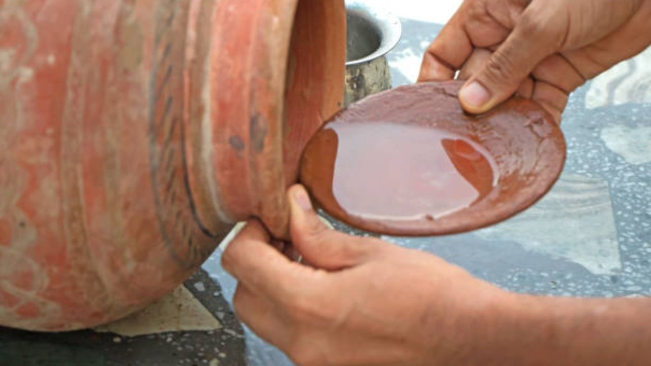 Earthen Pot Water: রেফ্রিজারেটর নয়, এই উপায়ে প্রাকৃতিকভাবেই বাড়িতে জল ঠান্ডা রাখুন