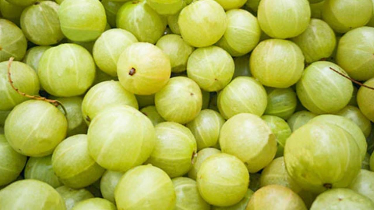 আমলকিও যৌনস্বাস্থ্য মজবুত করে। উচ্চ অ্যান্টি অক্সিড্যান্ট সমৃদ্ধ এই ফল স্টেস কমায়, বীর্যের গুণমান ভালো করে। এর পাশাপাশি দেহে হরমোনের ভারসাম্য বজায়েও সাহায্য করে। 