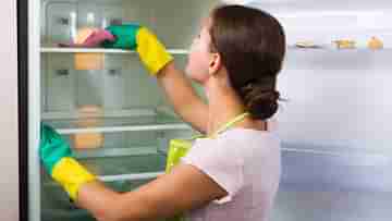 Fridge Cleaning Tips: ফ্রিজ থেকে পচা গন্ধ বেরোচ্ছে? ৫ টোটকায় ঝকঝকে করে তুলুন ফ্রিজকে