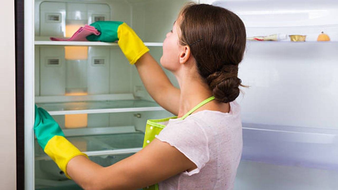Fridge Cleaning Tips: ফ্রিজ থেকে পচা গন্ধ বেরোচ্ছে? ৫ টোটকায় ঝকঝকে করে তুলুন ফ্রিজকে