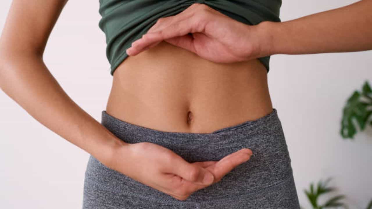 Gut Health Ayurveda: বাড়ির খাবার খেয়েও গ্যাস-অম্বলে ভুগছেন? আয়ুর্বেদের এই ৫ টোটকায় কমতে পারে পেটের গণ্ডগোল