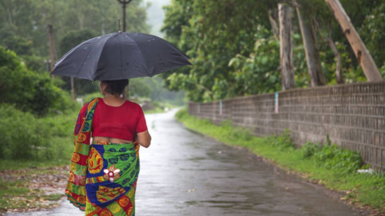 বর্ষাকালে খাওয়া-দাওয়া নিয়ে সচেতন থাকতে হয়। জ্বর-সর্দি হোক বা পেট খারাপ, রোগ প্রতিরোধ ক্ষমতা বাড়ানোর জন্য কী খাবেন, দেখে নিন এক নজরে।