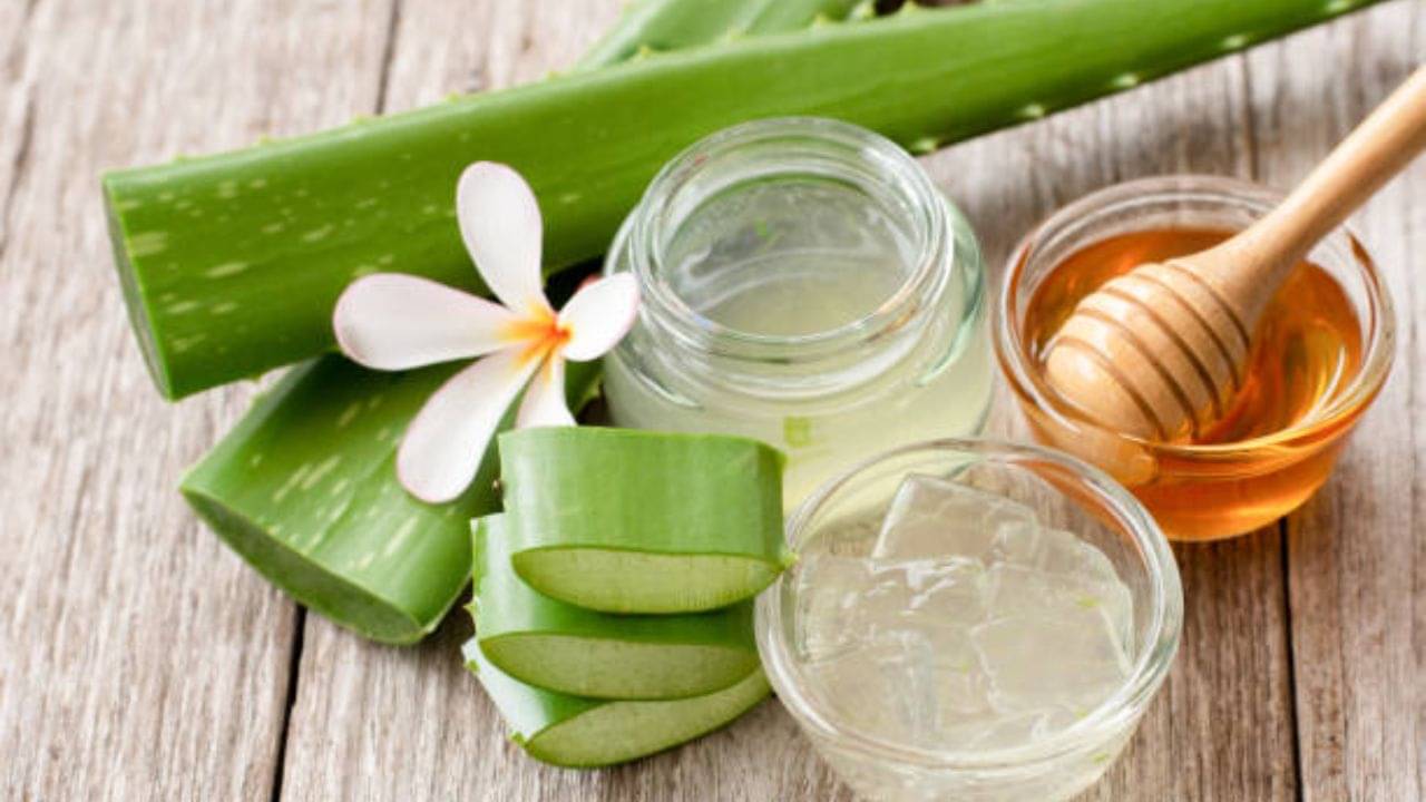 Honey vs Aloe Vera: মধু নাকি অ্যালোভেরা জেল? স্বাস্থ্যোজ্জ্ব‌ল ত্বক পেতে কার সাহায্য নেবেন?