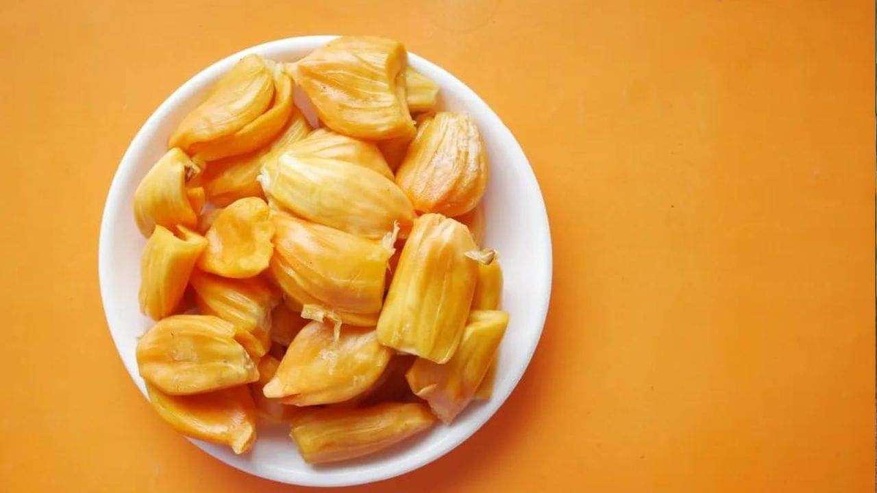 Vastu Tips For Home: সংসারে নিত্য কলহ-অর্থভাব? বাড়ির ঠিক এদিকে কাঁঠাল গাছ থাকলে আজই কেটে ফেলুন