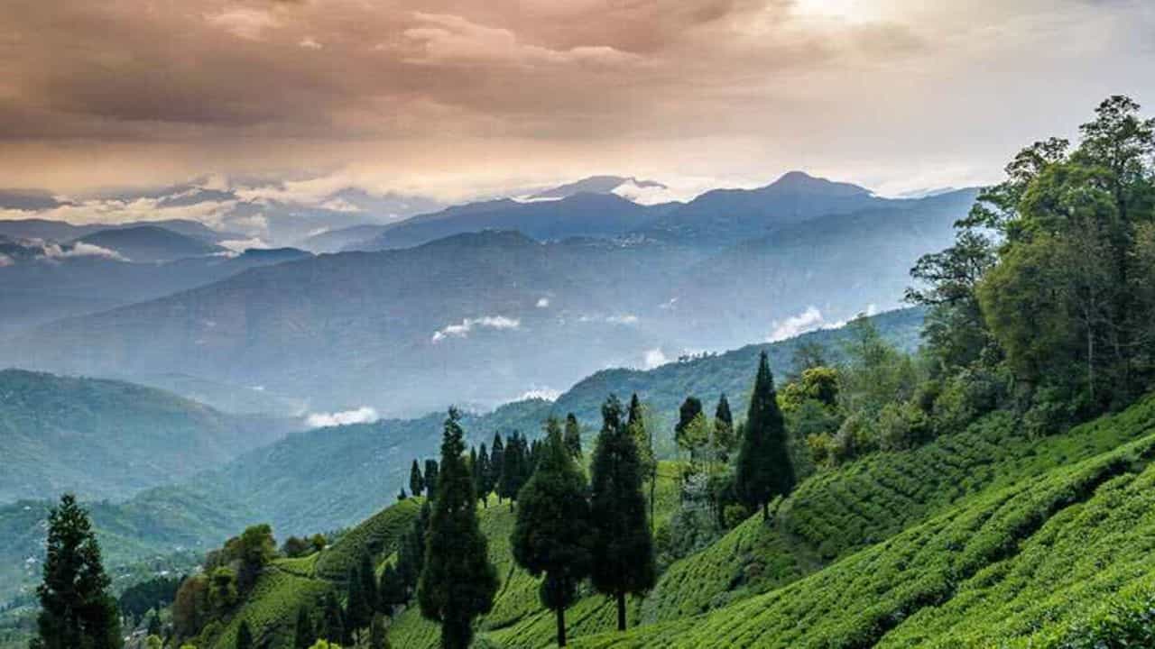 Kalimpong: গরমে সোয়েটার পরতে চান? এই ৫ পাহাড়ি গ্রামের ঠিকানায় আজই বুকিং করুন Kalimpong: গরমে সোয়েটার পরতে চান? এই ৫ পাহাড়ি গ্রামের ঠিকানায় আজই বুকিং করুন