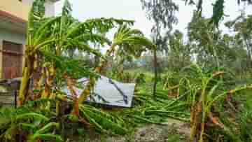 Weather Update: রেমাল-তাণ্ডবের পরও মুক্তি নেই! বুধ-বৃহস্পতি-শুক্র-শনি কোথায় কেমন থাকবে আবহাওয়া, সব জানাল হাওয়া অফিস