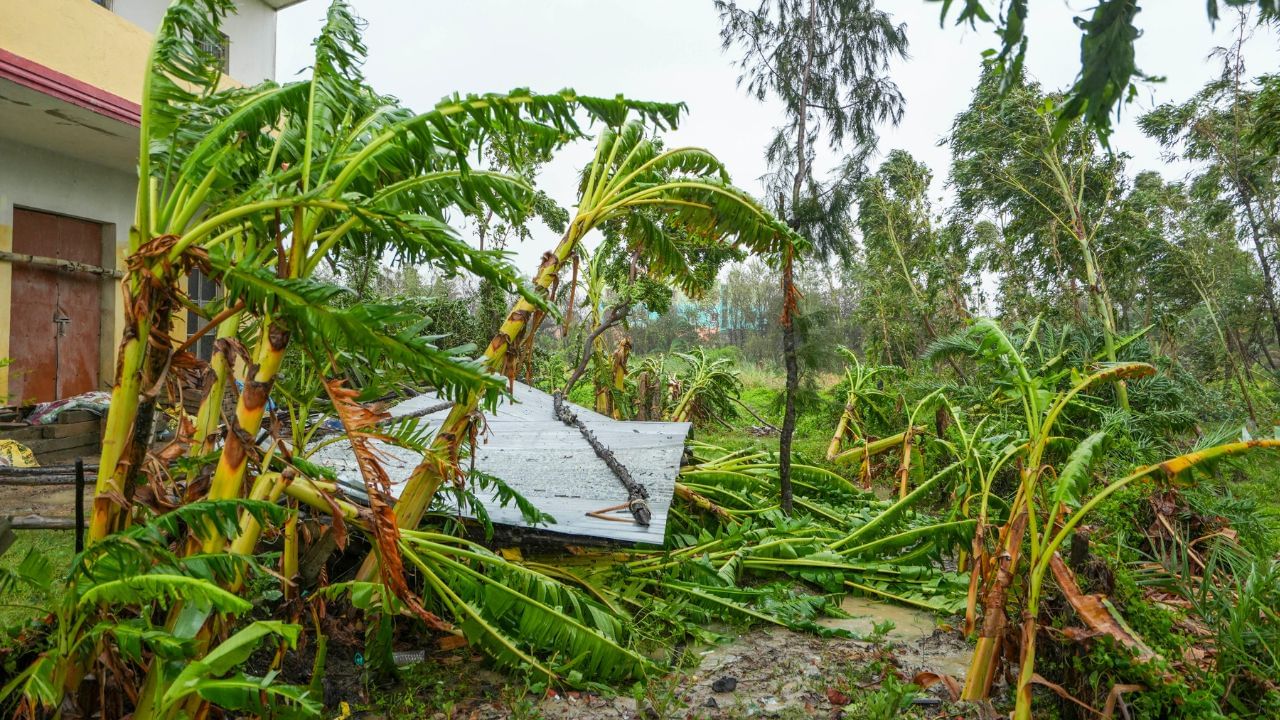 Weather Update: 'রেমাল'-তাণ্ডবের পরও মুক্তি নেই! বুধ-বৃহস্পতি-শুক্র-শনি কোথায় কেমন থাকবে আবহাওয়া, সব জানাল হাওয়া অফিস