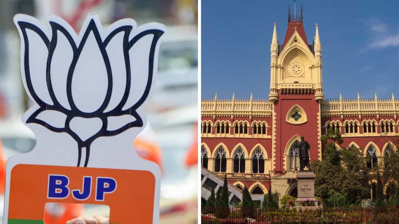 Loksabha Election-BJP: 'এই ধরনের বিজ্ঞাপন দেওয়া যাবে না', ভোটের মাঝে বিজেপিকে নির্দেশ কলকাতা হাইকোর্টের