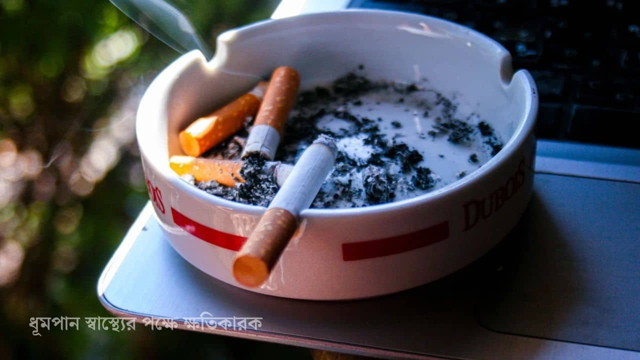 Cigarette Online: মাত্র ৯ মিনিটেই নাবালকের হাতে পৌঁছে গেল প্যাকেট-ভর্তি সিগারেট, আবেদন শুনে উদ্বিগ্ন হাইকোর্ট