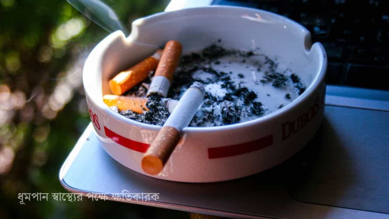 Cigarette Online: মাত্র ৯ মিনিটেই নাবালকের হাতে পৌঁছে গেল প্যাকেট-ভর্তি সিগারেট, আবেদন শুনে উদ্বিগ্ন হাইকোর্ট Cigarette Online: মাত্র ৯ মিনিটেই নাবালকের হাতে পৌঁছে গেল প্যাকেট-ভর্তি সিগারেট, আবেদন শুনে উদ্বিগ্ন হাইকোর্ট