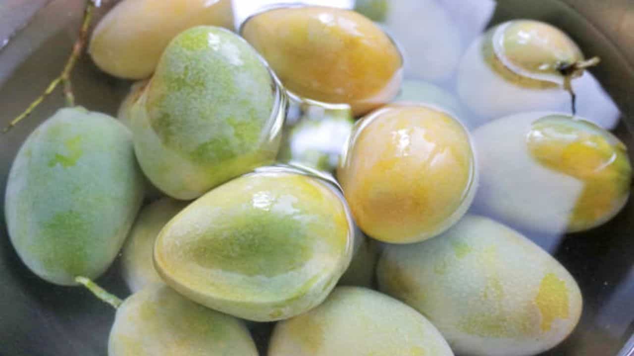Mangoes: পাকা আম খেয়ে শরীর অসুস্থ হয়ে পড়তে পারেন, খাওয়ার আগে মানুন এই টোটকা Mangoes: পাকা আম খেয়ে শরীর অসুস্থ হয়ে পড়তে পারেন, খাওয়ার আগে মানুন এই টোটকা