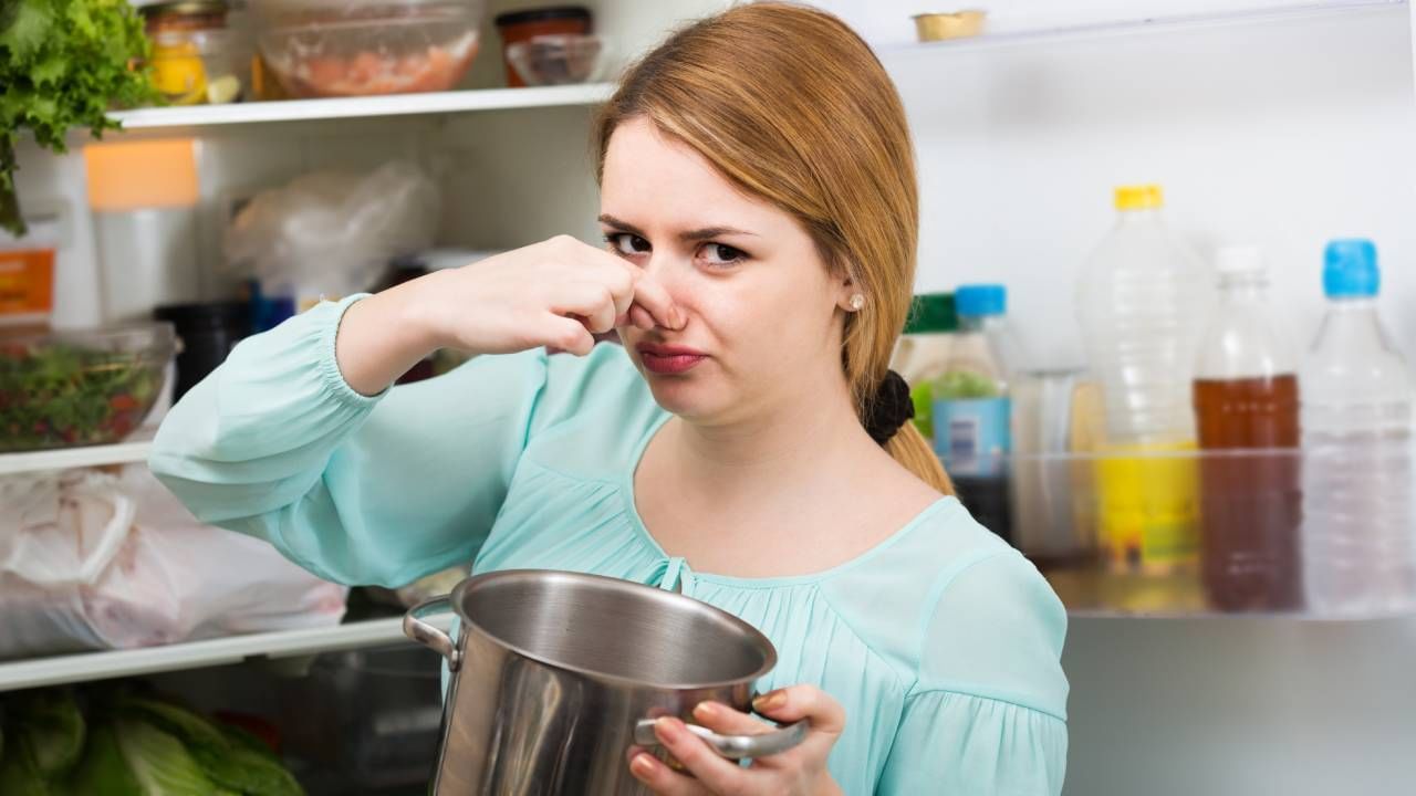 Tiffin Box Cleaning: অফিসের টিফিন বক্স খুললেই আঁশটে গন্ধ? এই তিন উপায়ে দূর হবে দুর্গন্ধ