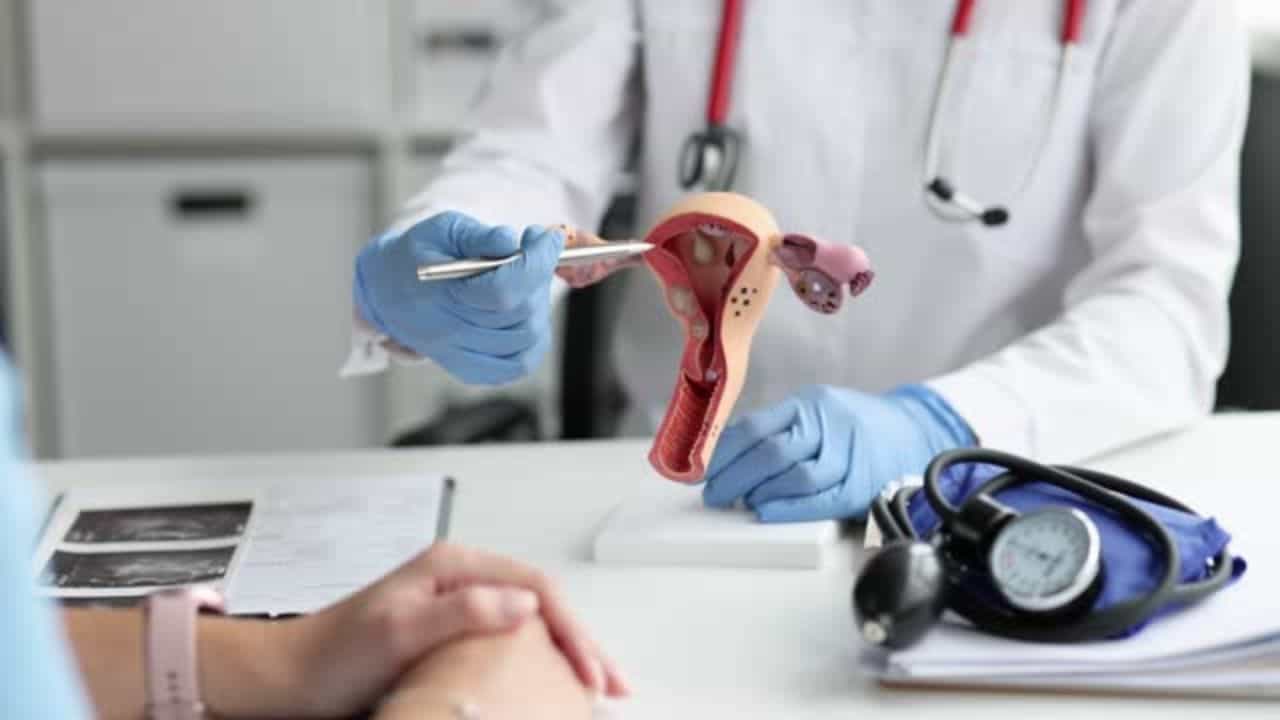 Ovarian Cancer: গ্যাস-অম্বলের সমস্যা ভেবে এড়িয়ে যাবেন না ডিম্বাশয়ের ক্যানসারের এই লক্ষণগুলো Ovarian Cancer: গ্যাস-অম্বলের সমস্যা ভেবে এড়িয়ে যাবেন না ডিম্বাশয়ের ক্যানসারের এই লক্ষণগুলো