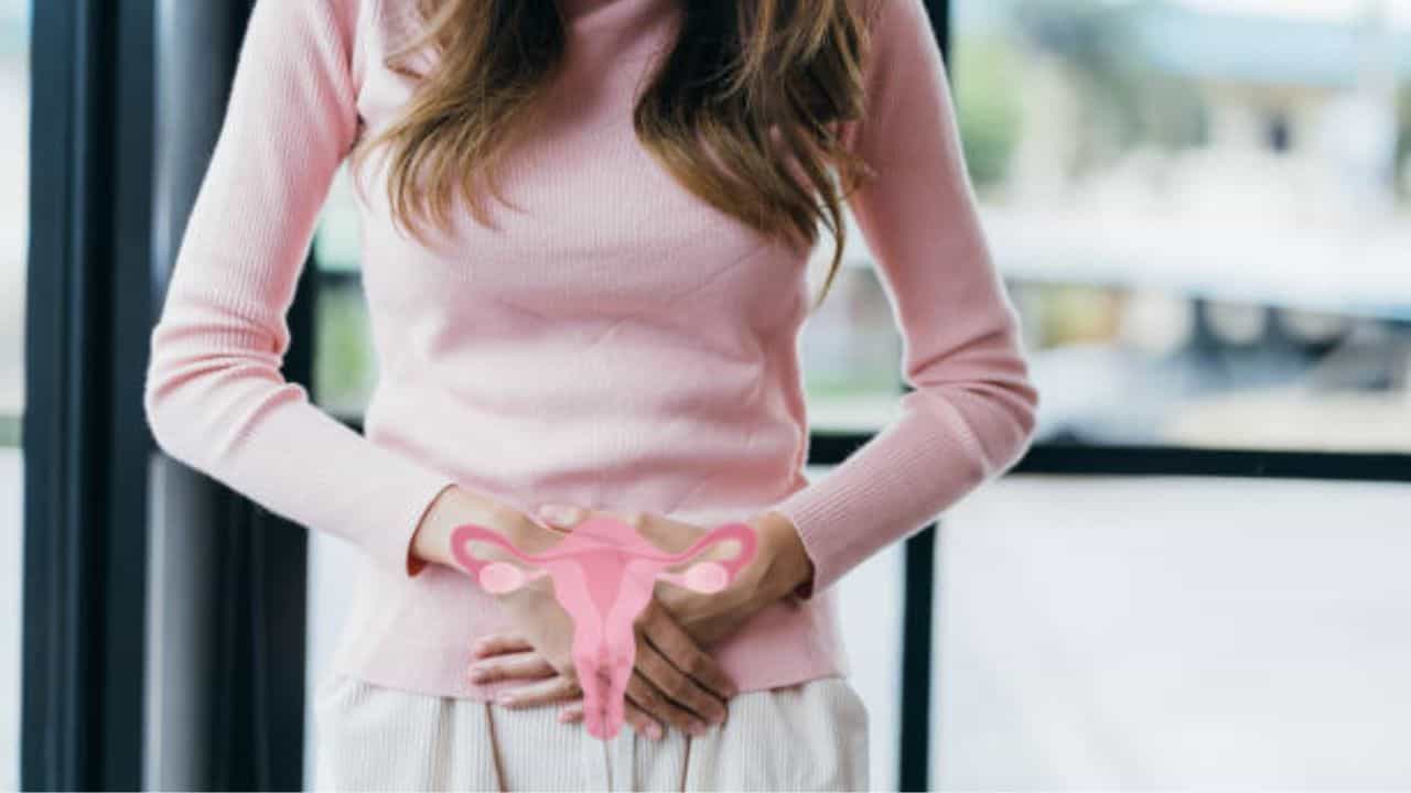PCOS Symptoms: অনিয়মিত ঋতুস্রাব ও ওজন বেড়ে যাওয়া ছাড়া আর কোন লক্ষণ দেখে বুঝবেন পিসিওএস-এ ভুগছেন? PCOS Symptoms: অনিয়মিত ঋতুস্রাব ও ওজন বেড়ে যাওয়া ছাড়া আর কোন লক্ষণ দেখে বুঝবেন পিসিওএস-এ ভুগছেন?