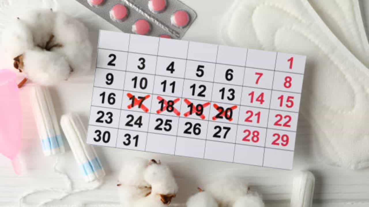 Prepone Menstruation: ওষুধ না খেয়ে পিরিয়ডের তারিখ এগোতে চান? এই ৫ ভেষজ উপাদানের সাহায্য নিন Prepone Menstruation: ওষুধ না খেয়ে পিরিয়ডের তারিখ এগোতে চান? এই ৫ ভেষজ উপাদানের সাহায্য নিন
