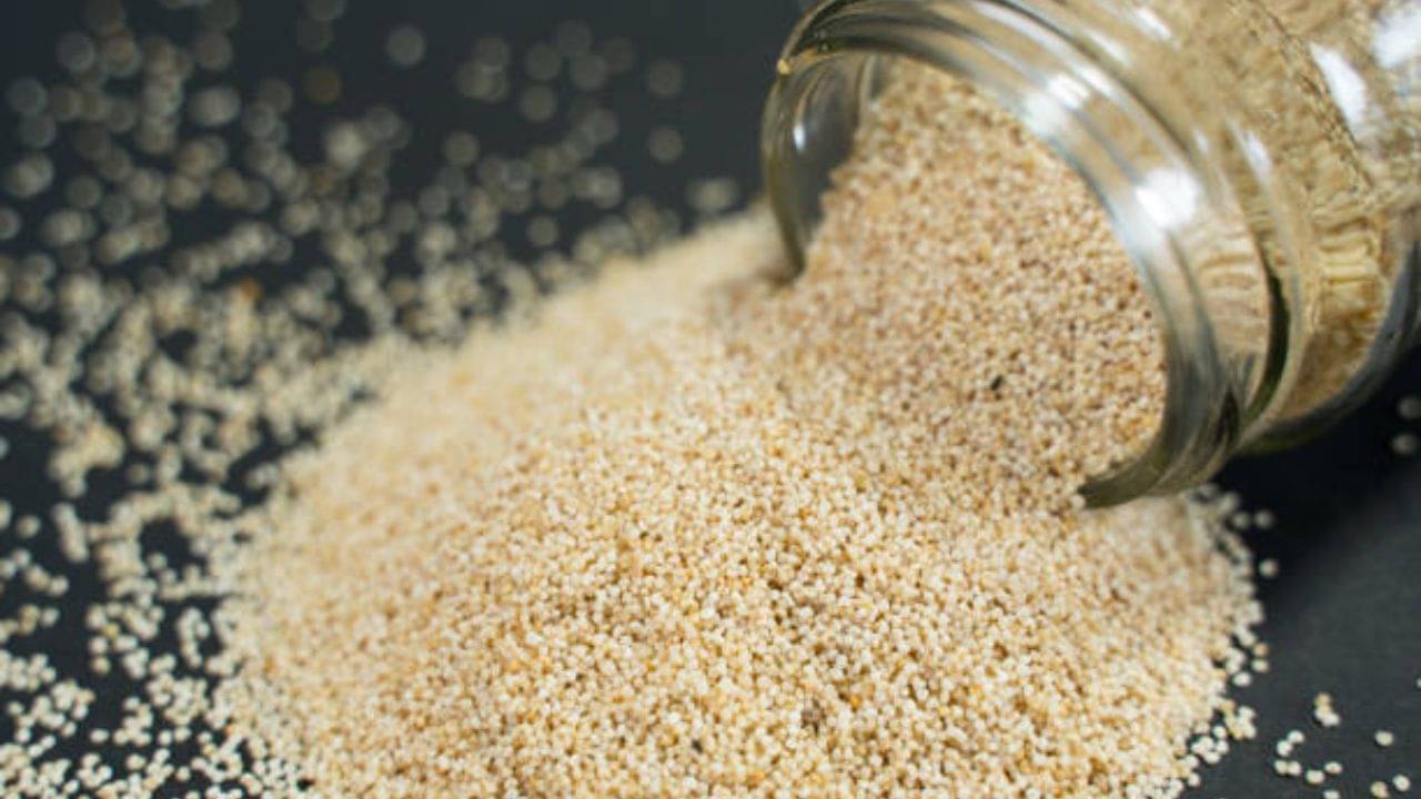 Poppy Seeds: রোজ সকালে দুধ-শরবতের সঙ্গে পোস্ত খেলে গরমে আর হয়রানি শিকার হবেন না
