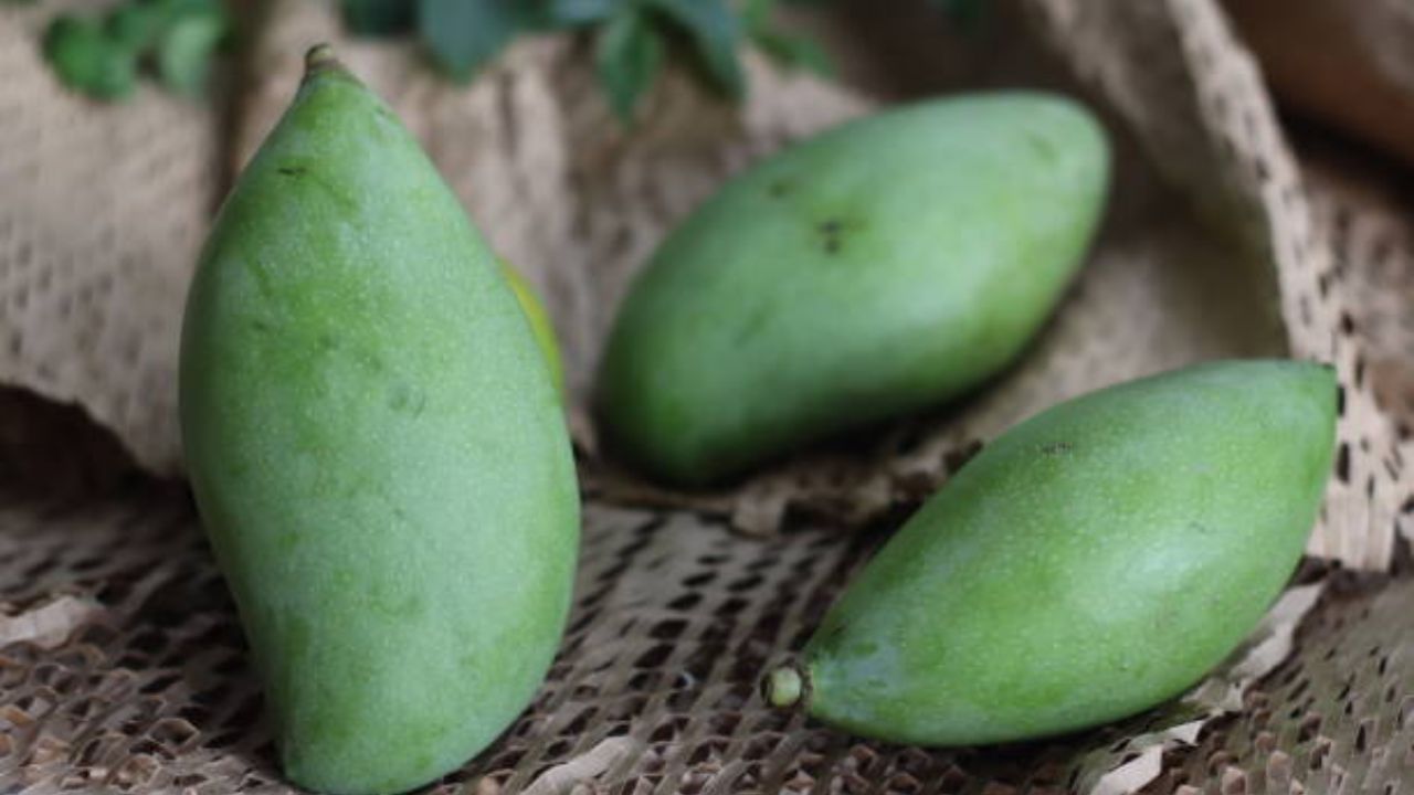 Raw Mango: টকডাল হোক বা শরবত, গরমে কাঁচা আম খেলে কি হিট স্ট্রোকের ঝুঁকি কমবে?