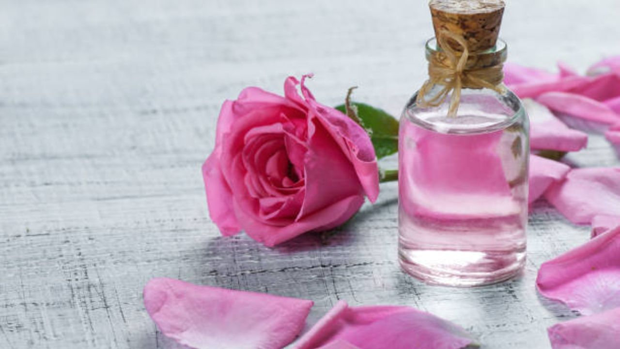 Rose Water: ফেসপ্যাক বা টোনার নয়, গোলাপ জলকে এই ৫ উপায়ে কাজে লাগান