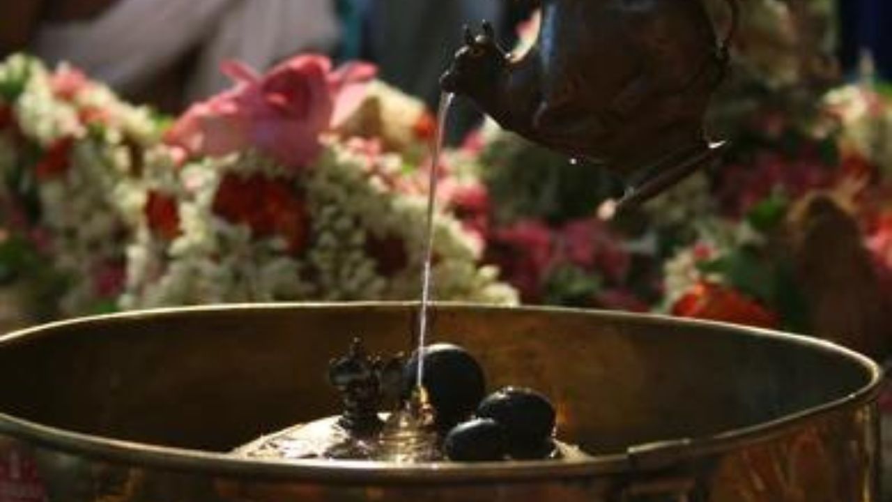 হিন্দুদের মতে, সাধারণত ব্রাহ্মণদের পরিবারে মধ্যেই স্থাপন করা হয়। তবে ঠাকুরঘরে শালিগ্রাম থাকলে সবার আগে জেনে রাখা উচিত শালিগ্রামের পুজো করা নিয়ম। তাই শালিগ্রাম স্থাপনের আগে কোন কোন নিয়মগুলি মেনে চলা উচিত, তা জেনে নিন...