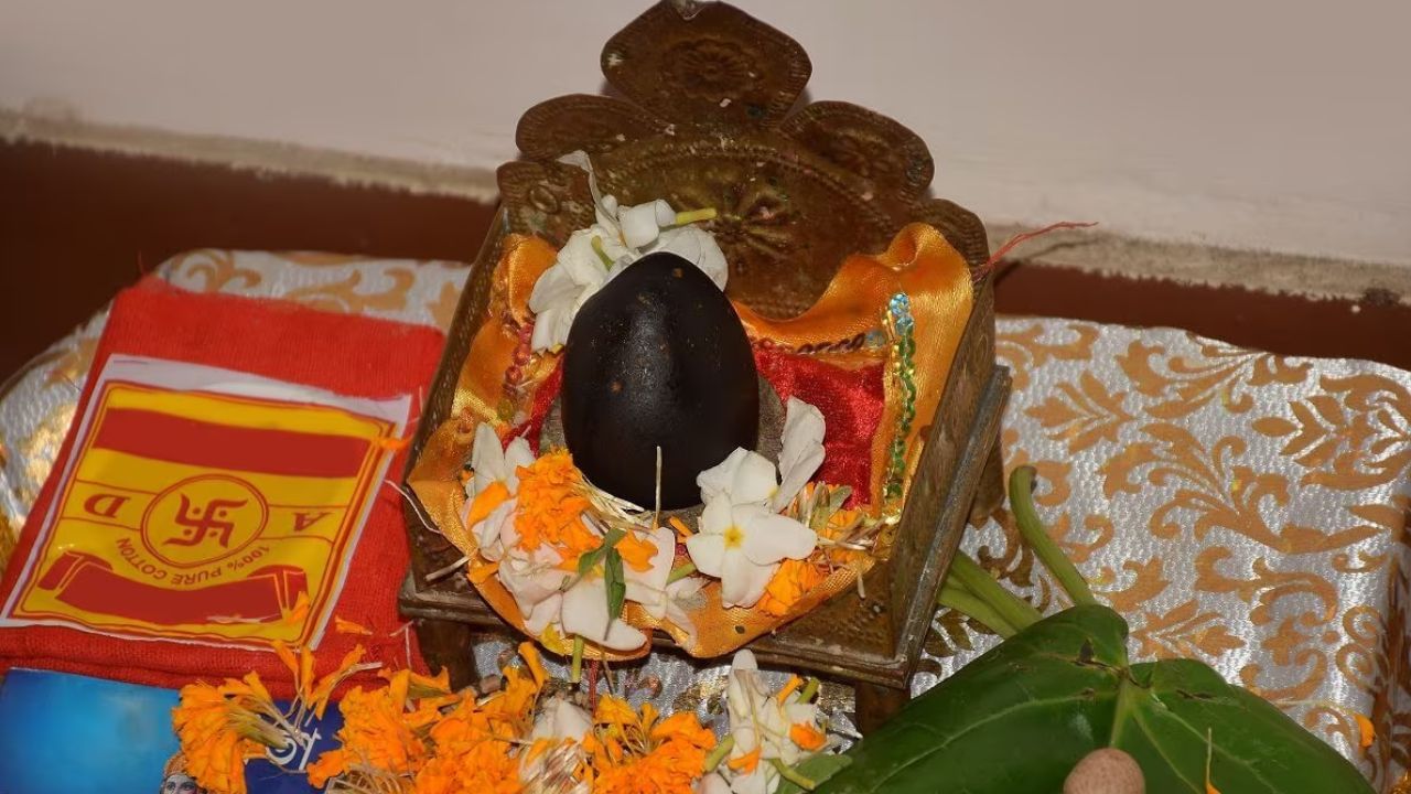 জ্যোতিষ শাস্ত্র অনুসারে, বাড়িতে সবসময় একটি মাত্র শালিগ্রাম থাকাই উচিত। বাড়িতে একাধিক শালিগ্রাম থাকলে ক্ষমা চেয়ে নদীতে ফেলে দিতে পারেন।