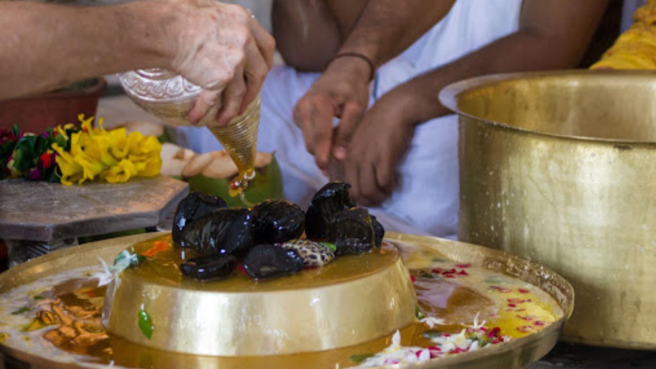 ঘরে থাকলে নিয়মিত শালগ্রাম শিলা পুজো করার নিয়ম। কোনও কারণে শালগ্রাম শিলা করা না হলে ভগবান বিষ্ণুর কাছে ক্ষমা প্রার্থনা করে জলে ফেলে দিতে হবে। বিশেষ করে শালগ্রাম শিলাকে সবসময় তুলসী গাছের কাছে রাখার নিয়ম। এর ফলে দেবী লক্ষ্মী অত্যন্ত তুষ্ট হন। প্রতিদিন পঞ্চামৃত দিয়ে স্নান করানো নিয়ম। বাড়িতে সুখ ও সমৃদ্ধি বৃদ্ধি পায়।