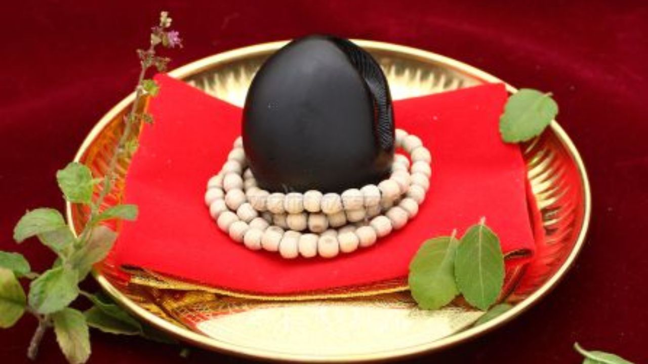 হিন্দুধর্ম মতে, কালো রঙের একটি চকচকে ডিম্বাকৃতি পাথরে স্বয়ং বিষ্ণুর অধিষ্ঠান করেন। যার কারণে লক্ষ্মী আরাধনা করলে ওই পাথরকে গুরুত্ব দেওয়া হয় সমানভাবে। লক্ষ্মীর অত্যন্ত প্রিয় ও পবিত্র এই শিলা তুলসির কাঠের তৈরি পাত্রে রেখে পুজো করার রীতি রয়েছে।
