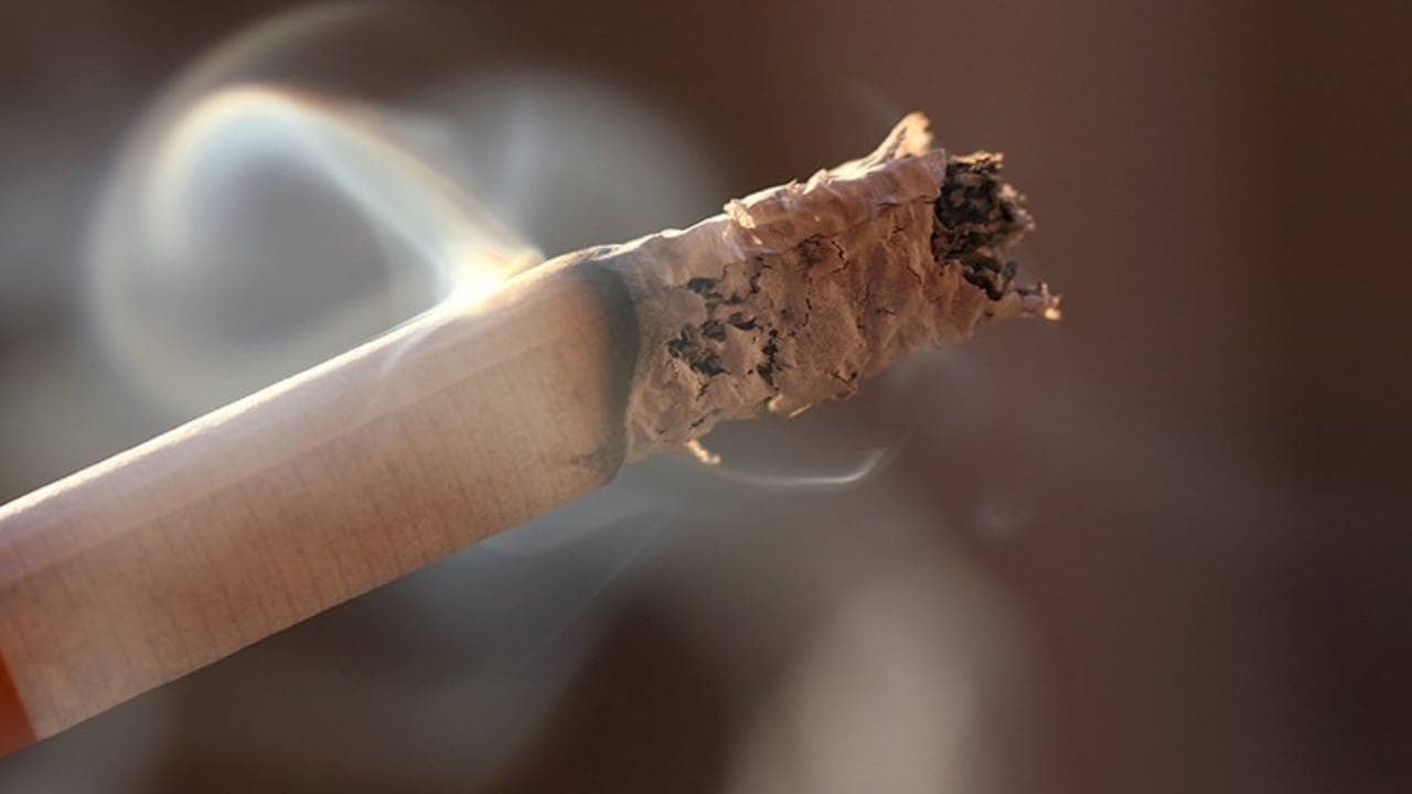 Cancer Risk: তামাক কেবল মুখ বা ফুসফুসে নয়, এসব অঙ্গেও ক্যানসারের ঝুঁকি বাড়ায়