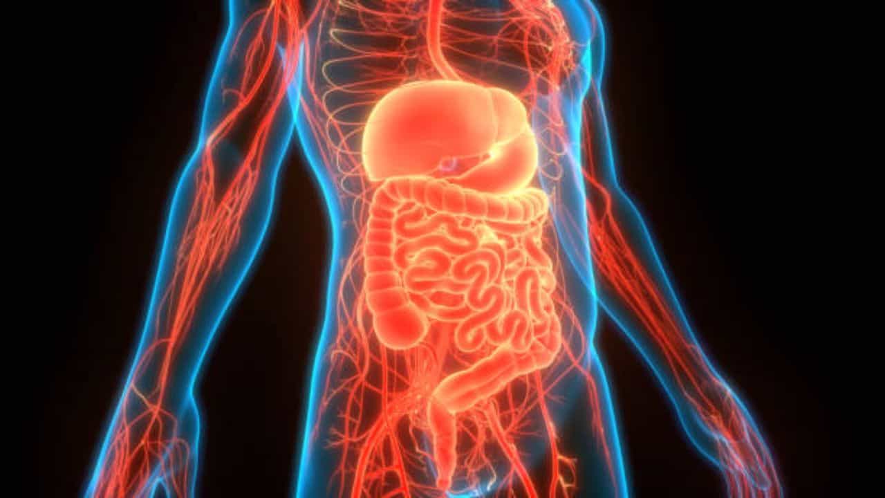 Stomach Cancer: ঘন ঘন ফুড পয়জন, জন্ডিসে ভোগেন? নিশ্চুপে শরীরে বাড়ছে ক্যানসারের কোষ Stomach Cancer: ঘন ঘন ফুড পয়জন, জন্ডিসে ভোগেন? নিশ্চুপে শরীরে বাড়ছে ক্যানসারের কোষ
