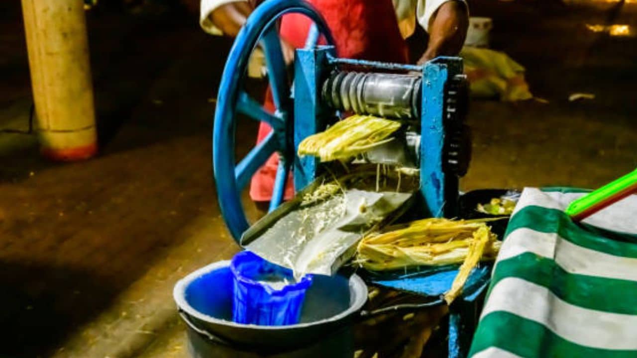 Sugarcane Juice: ডায়াবেটিস রোগীদের কি আখের রস খাওয়া উচিত?