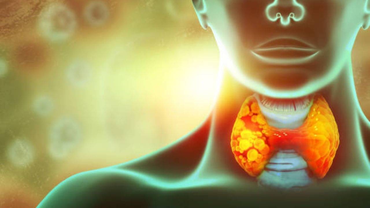 Herbs for Thyroid: রোজ থাইরয়েডের ওষুধ খান? সঙ্গে রাখুন আয়ুর্বেদের এই ৬ ভেষজ