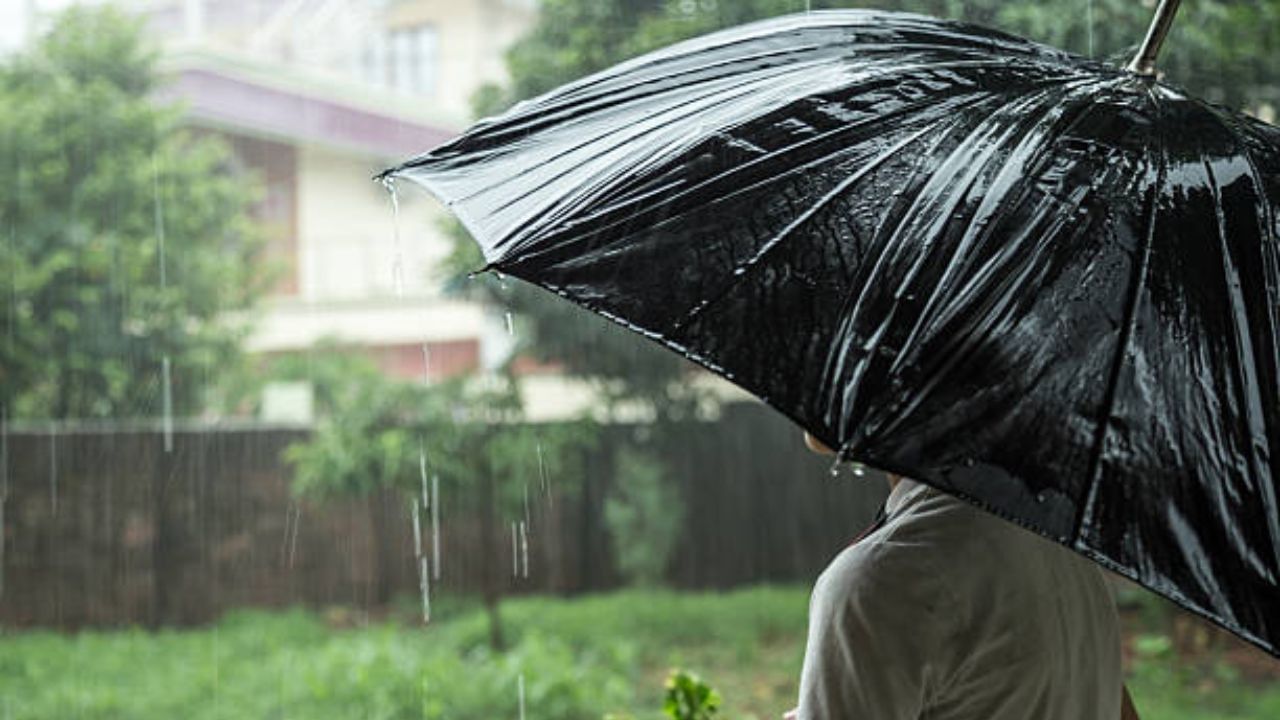 লম্বা, কাঠের হাতল দেওয়া, পুরনো দিনের মতো দেখতে ছাতাগুলোই ভারী বৃষ্টিতে সবচেয়ে বেশি কার্যকর। এগুলোকে জনস আমব্রেলা বলে। বৃষ্টির ছাঁট আটকায় আর টেকসইও হয়।