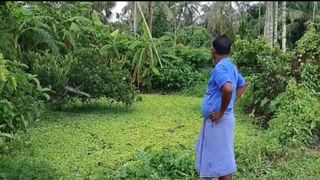 Pathar Pratima: বিজেপি করেন, দম্পতিকে বেধড়ক মারধরের পর বাড়ি ভাঙচুরের অভিযোগ