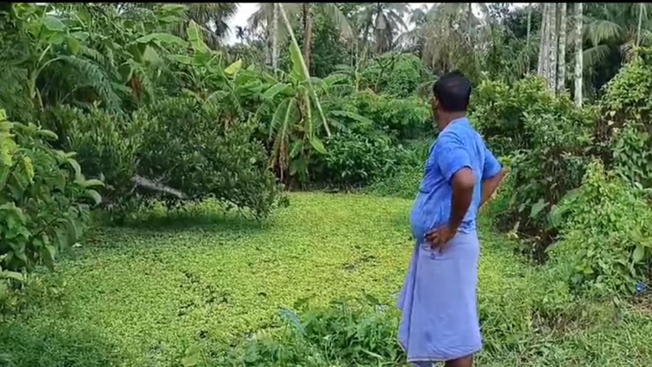 Baruipur: প্রেমিকাকে বাড়ি থেকে ডেকে নিয়ে গিয়ে ধর্ষণ করে খুনের অভিযোগ Baruipur: প্রেমিকাকে বাড়ি থেকে ডেকে নিয়ে গিয়ে ধর্ষণ করে খুনের অভিযোগ